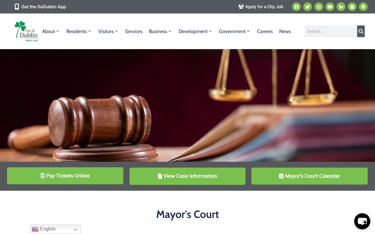 Dublin Mayor's Court website for Dublin police blotter cases