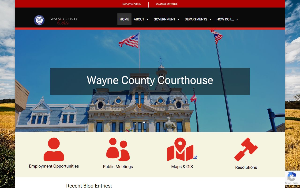 Wayne County court records page for Wayne County police blotter records
